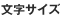 文字サイズの変更
